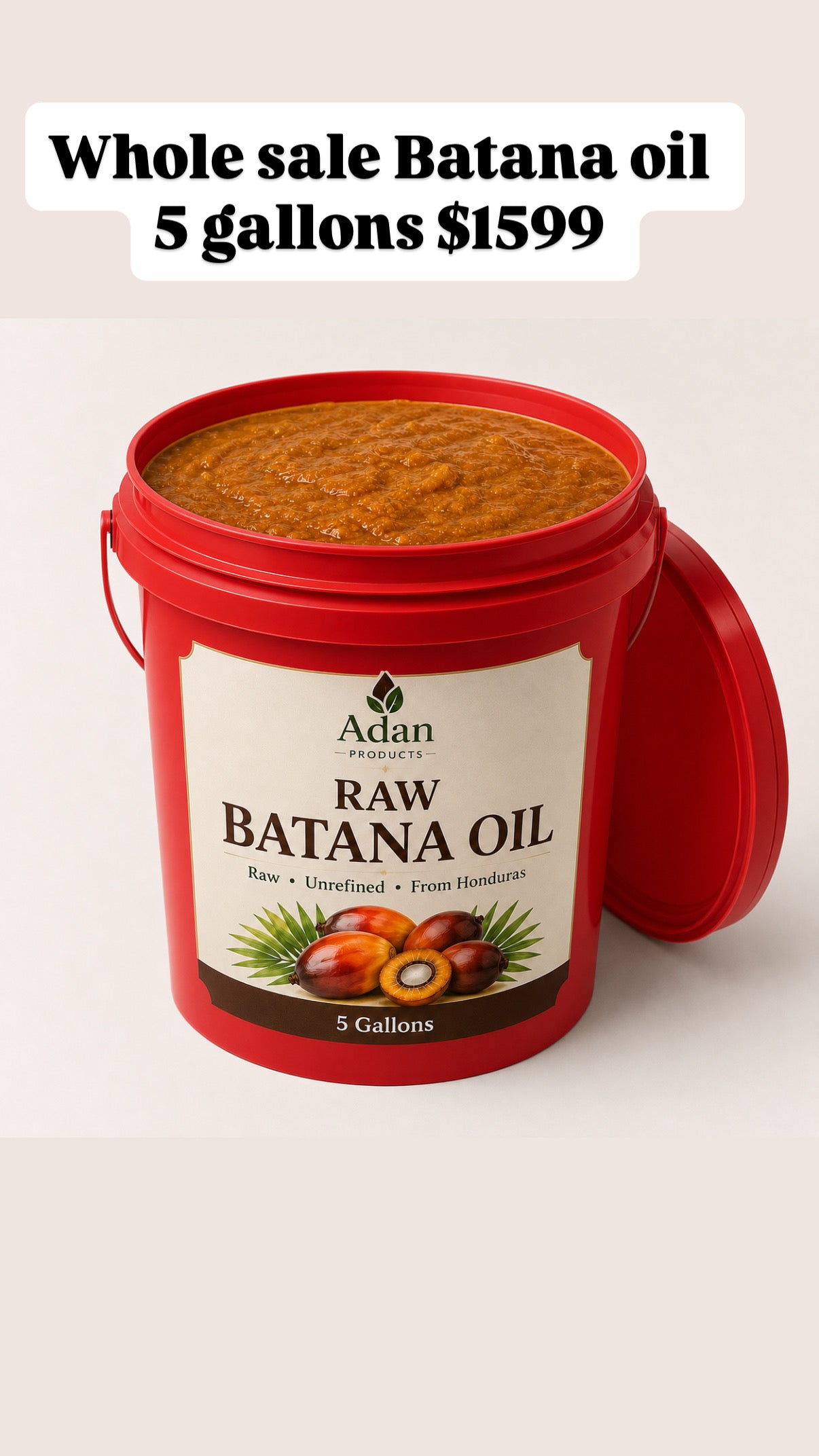 Adan Batana Oil for Hair Growth: Handmade in Honduras 100% Raw Batana Oil -