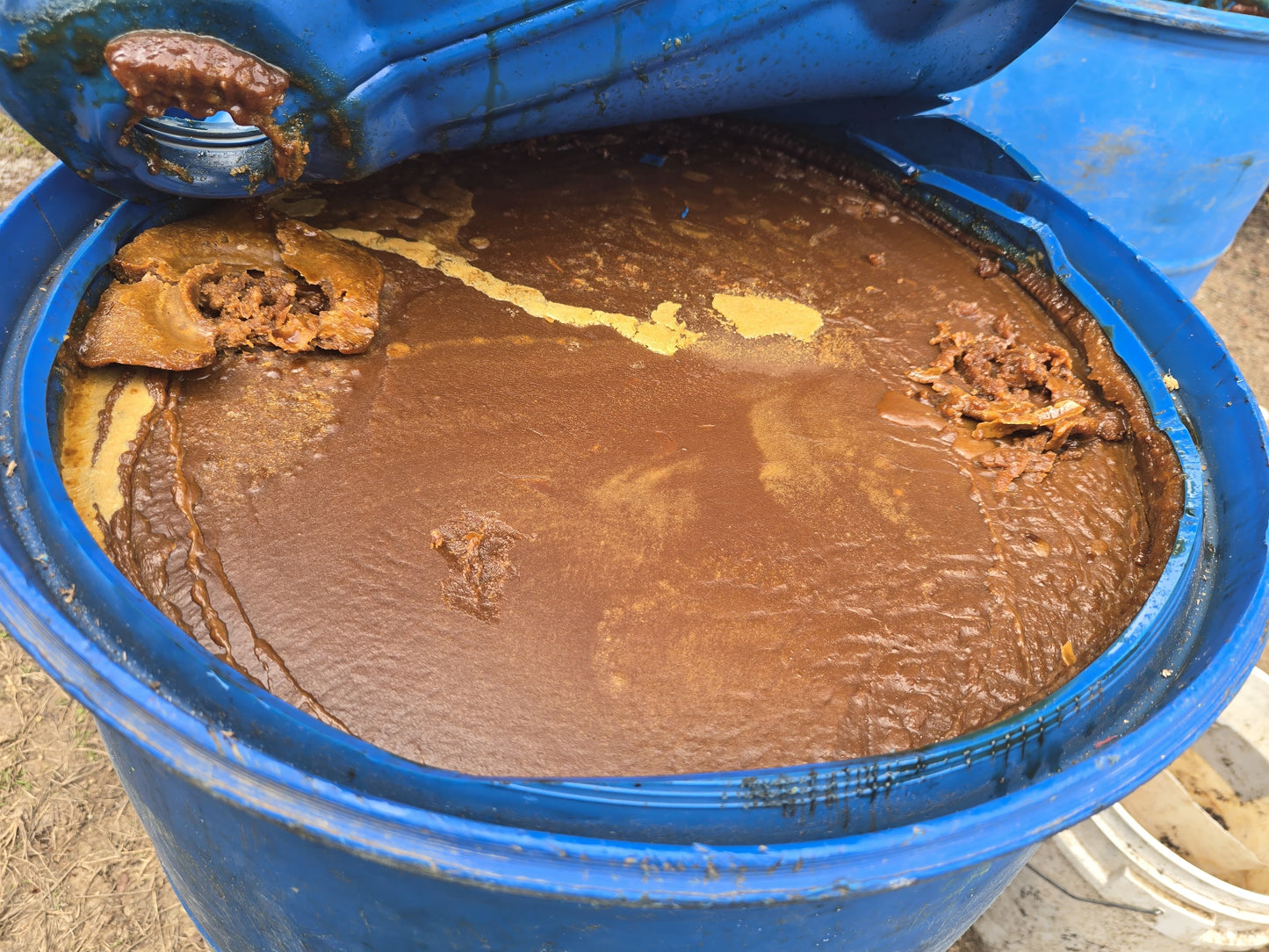 Batana Oil for Hair Growth: Handmade in Honduras 100% Raw Batana Oil -